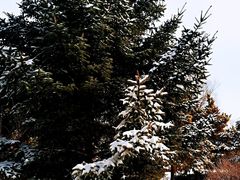 -长春公园(普阳街道)