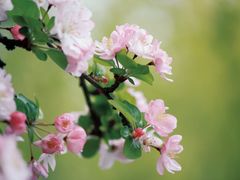 -莫愁湖公园