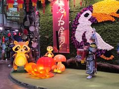 -正佳雨林生态植物园