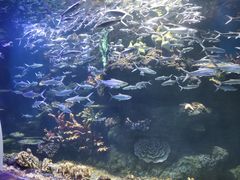 -华夏文旅海洋公园