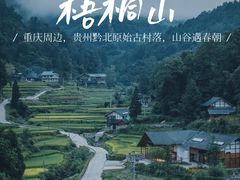 -梧桐山风景名胜区