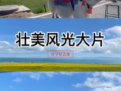 -青海湖国家重点风景名胜区