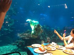-海棠湾洲际-涛·海底餐厅·美人鱼·自助餐·海底隧道