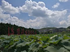 -毛泽东才溪乡调查旧址景区