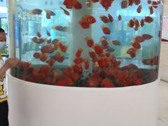 -泰州市人民医院(总院区)