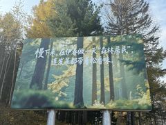 -汤旺河林海奇石景区