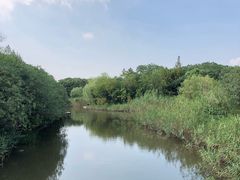 -吴淞炮台湾湿地森林公园烧烤区