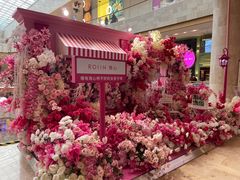 -Pierre Marcolini(德基广场店)