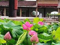 -广州莲花山旅游区