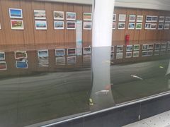 -鲁西南记忆温泉水世界