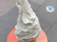 -野人先生现做冰淇淋(北京顺义祥云小镇店)