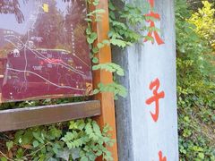 -武当山风景区-太子坡