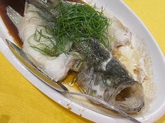 -新高记·粤菜·湛江鸡(南头古城店)