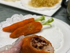 -丁老爷子苏香圆