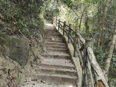 -海南热带雨林国家公园吊罗山景区