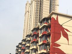 -傅强排骨(成都总店)
