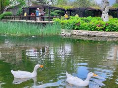 -三里河公园