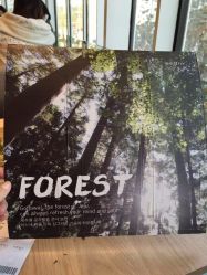 -悦诗风吟innisfree