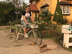 -黄色小屋