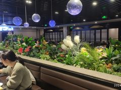 -daozao料理美术馆(东营店)