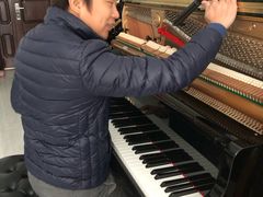 -柏斯琴行(汾阳店)