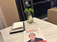 -青奢宠物·青奢猫舍