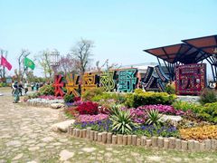 -上海长兴岛郊野公园