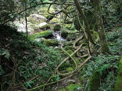 -福建天门山