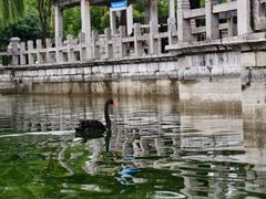 -百泉景区