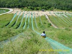 -南戴河国际娱乐中心