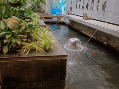 -成都中升之星奔驰4S店