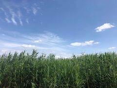 -宸玥酒店(成都西南财大地铁站店)