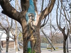 -白塘生态植物园