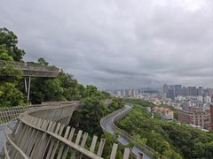 -福道