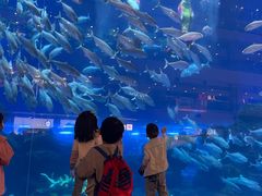 -成都浩海立方海洋公园