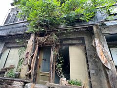 -金山嘴渔村
