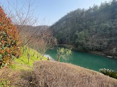 -桃花岭景区
