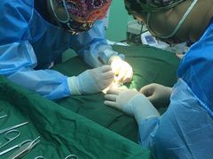 -瑞鹏宠物医院·爱宠堂·骨外专科(西荷分院)