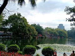 -荔湾湖公园