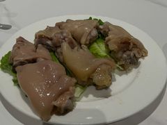 -丁老爷子苏香圆