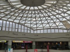 -高新活力汇Vitality