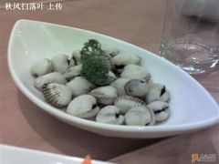 啤酒蚶子-彩工坊