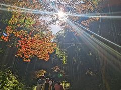 -径山寺