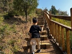 -蟠龙山长城景区