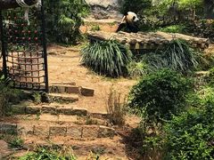 -石排湾郊野公园