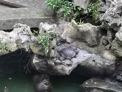 -普陀山雷迪森庄园
