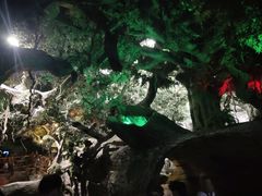 -多彩贵州城极地海洋世界