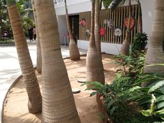-北京植物园-展览温室