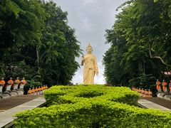 -西双版纳勐泐文化旅游区