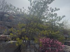 -青藏高原野生动物园